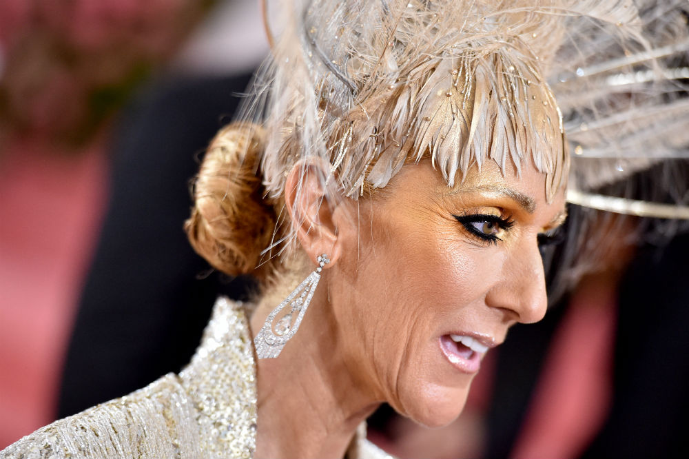 Celine Dion at The 2019 Met Gala / Photo Credit: Hahn Lionel/ABACA/ABACA/PA Images