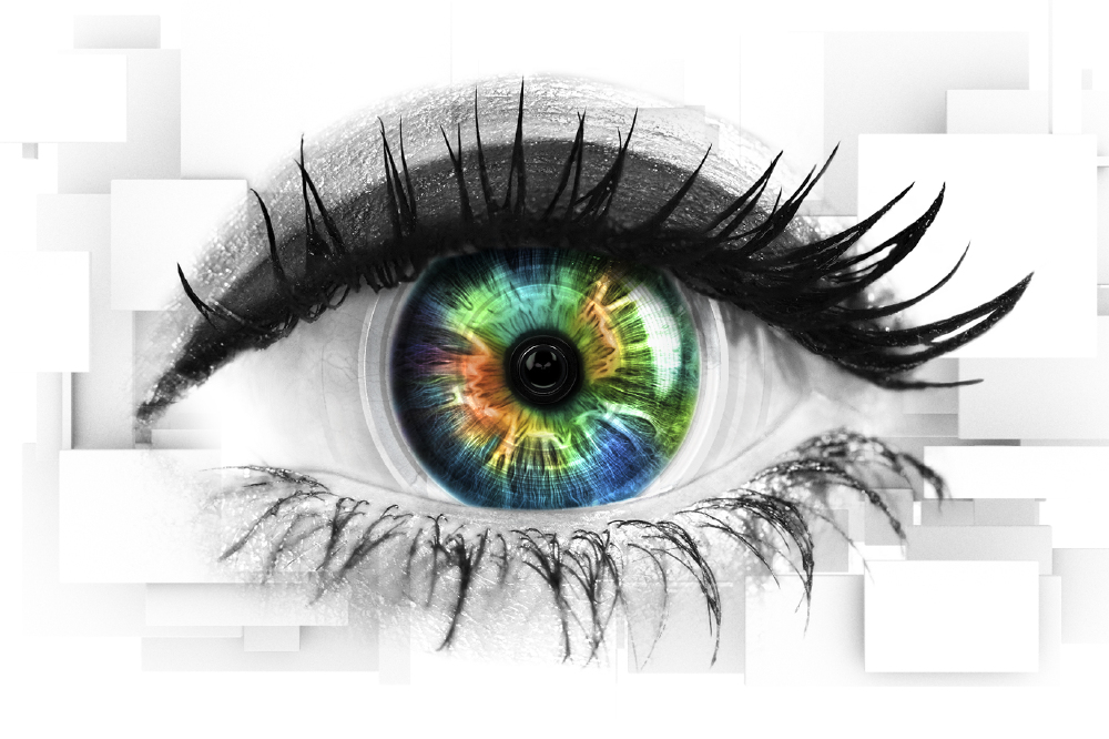 Celebrity Big Brother: Year of the Woman has arrived