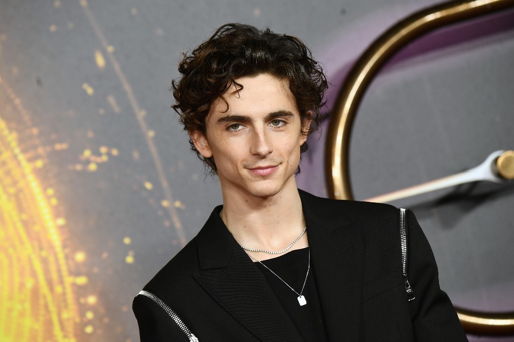 Timothée Chalamet is expected to return for the proposed Dune sequel / Picture Credit: Warner Bros. Pictures