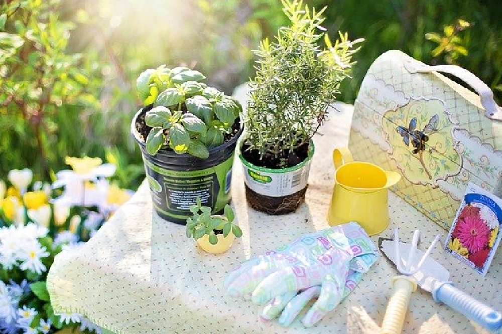 Is your Garden Summer Ready?