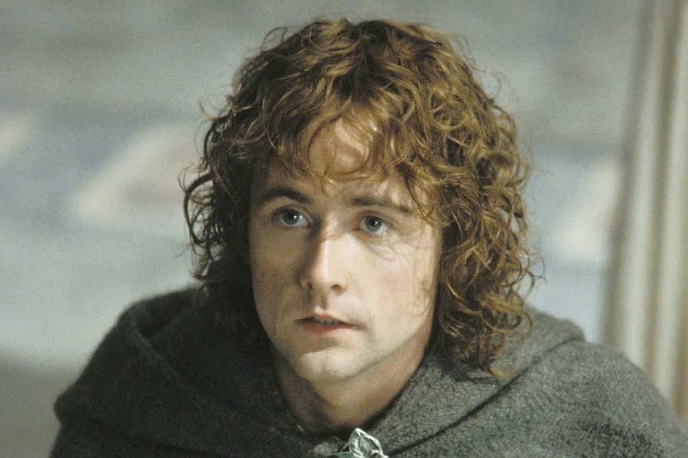 Billy Boyd as Pippin / Image credit: New Line Cinema