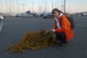 Chiara Vitali, Sea Change Manager for World Animal Protection