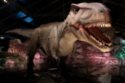 Get up close with the life-size dinos