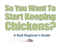 So you want to start keeping chickens?