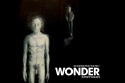 Johnny Daukes - Wonder 