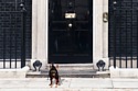 Could you trust a dog over David Cameron?
