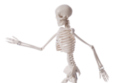 Keep your bones healthy with these tips