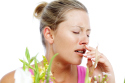 Stop the sneezing this spring with these top tips