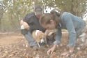 Hunting for Truffles in Western Australia – with dogs!