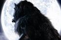 Werewolf - The Beast Among Us DVD 
