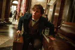 Fantastic Beasts And Where To Find Them Trailer 2