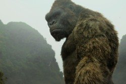 Kong: Skull Island - Is That A Monkey?