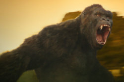 Kong: Skull Island - Magnificent
