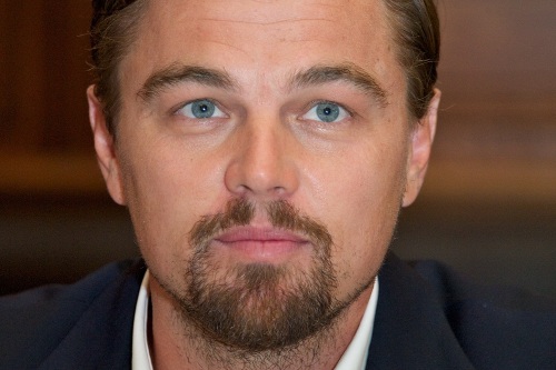 What Color are Leonardo Dicaprio'S Eyes 
