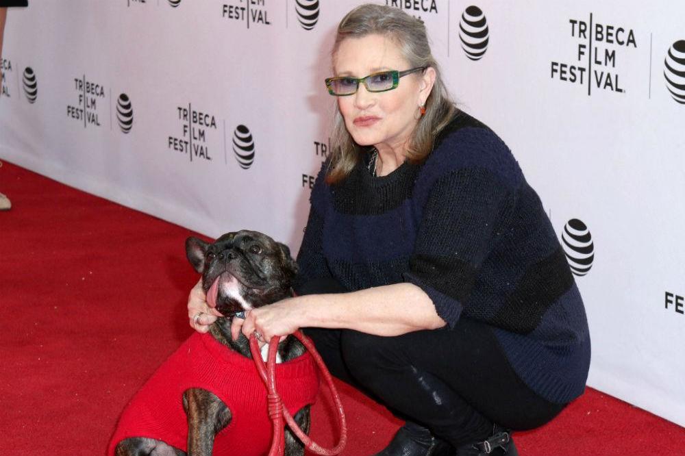 Carrie Fisher and her dog Gary