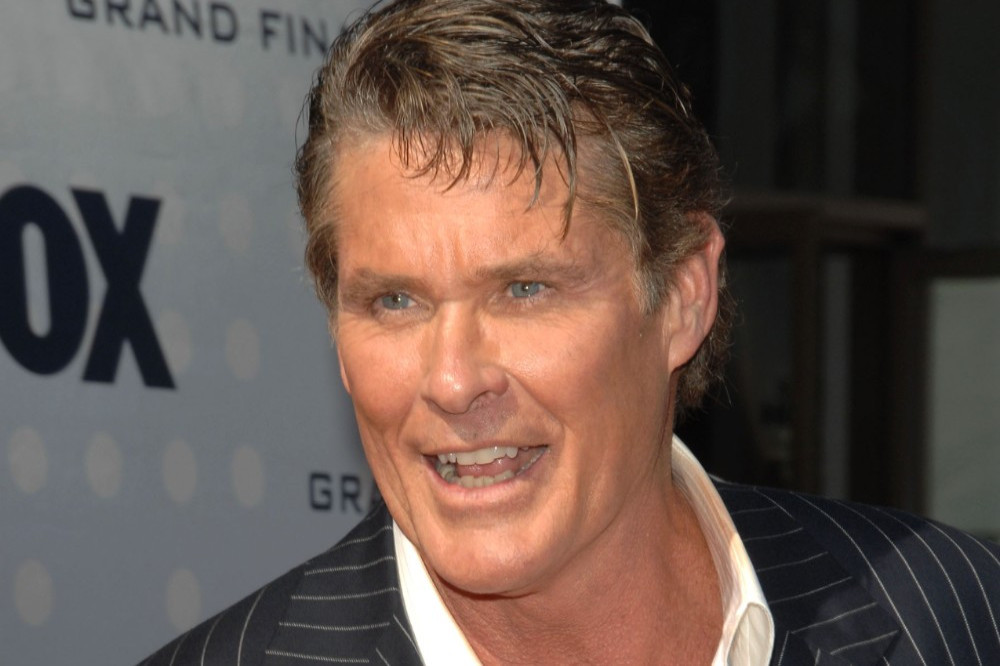 David Hasselhoff celebrated his 70th birthday with a number of his Baywatch castmates.