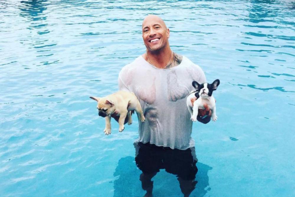 Dwayne Johnson with his dogs Hobbs and Brutus