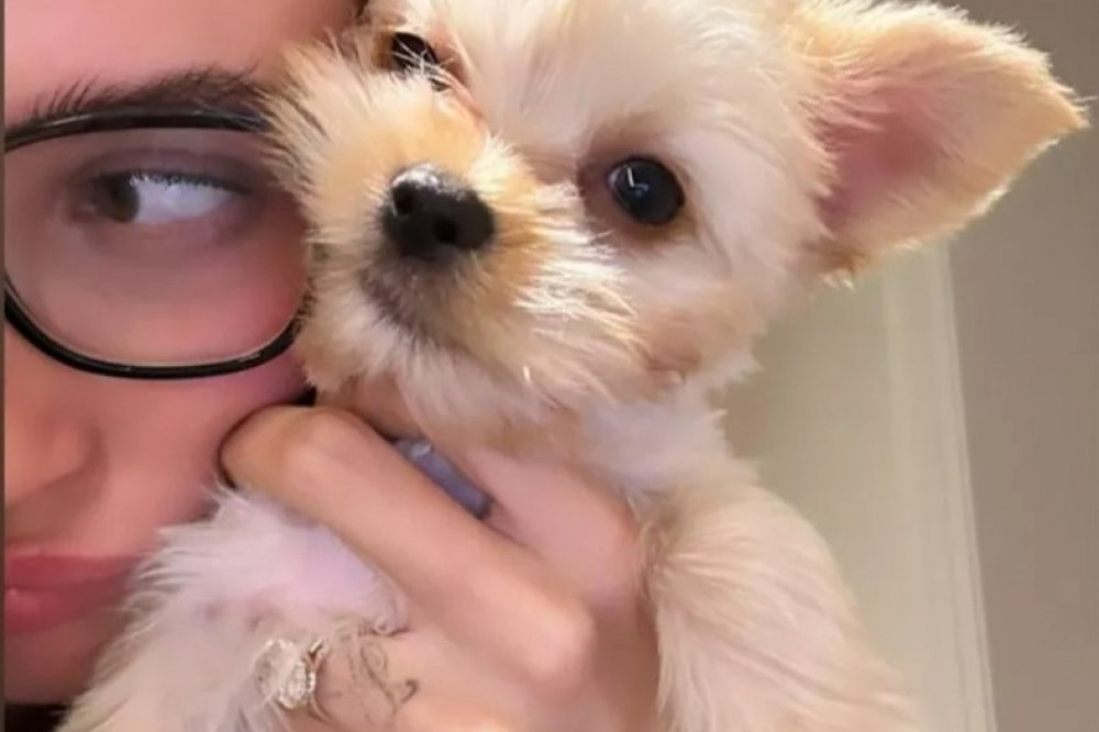 Hailey Bieber showed off the new pup