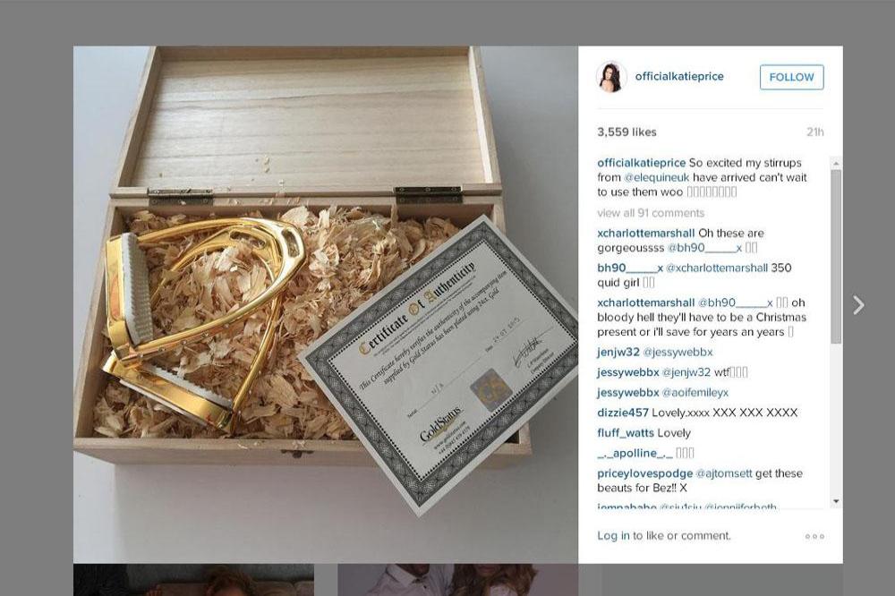 Katie Price's golden stirrups (c) Instagram