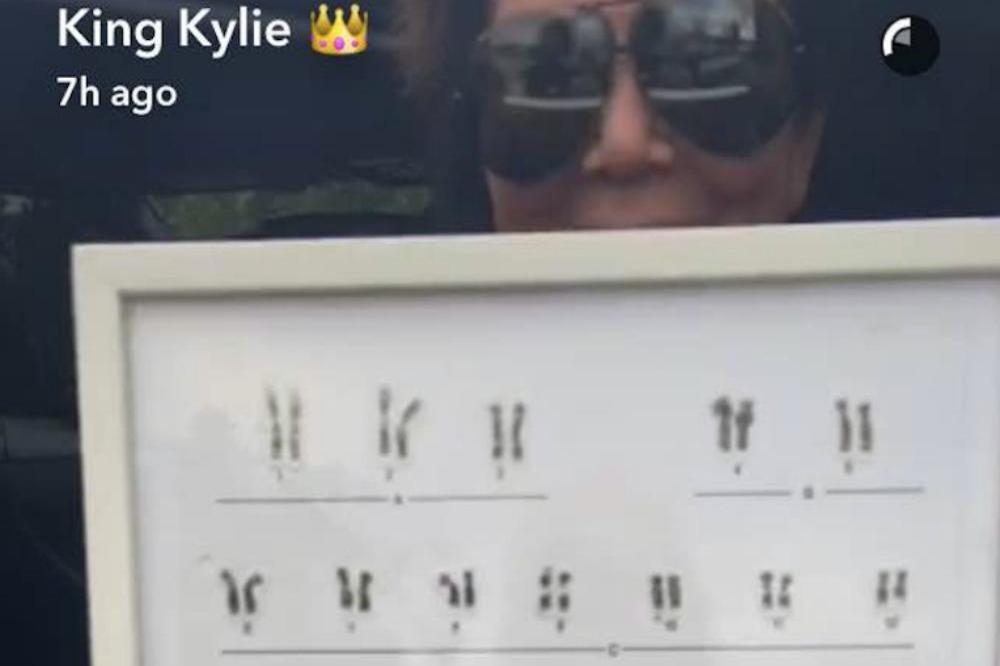 Kylie Jenner's DNA (c) Snapchat