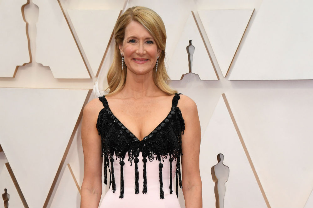 Laura Dern wasn't wearing foundation at the 2020 Oscars
