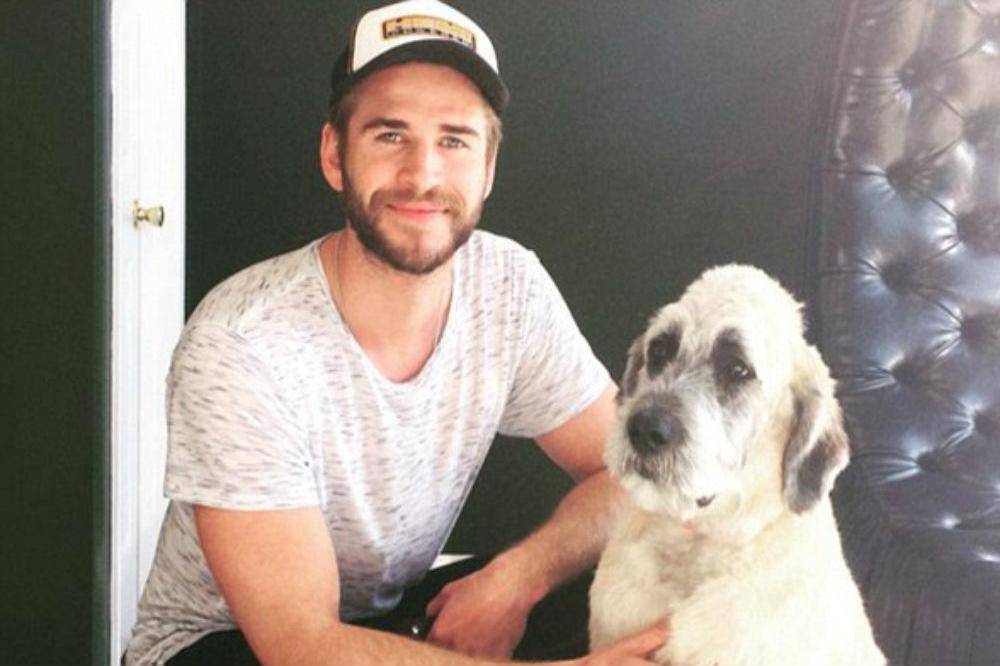 Liam Hemsworth and Dora [(c) wylderspets Instagram]