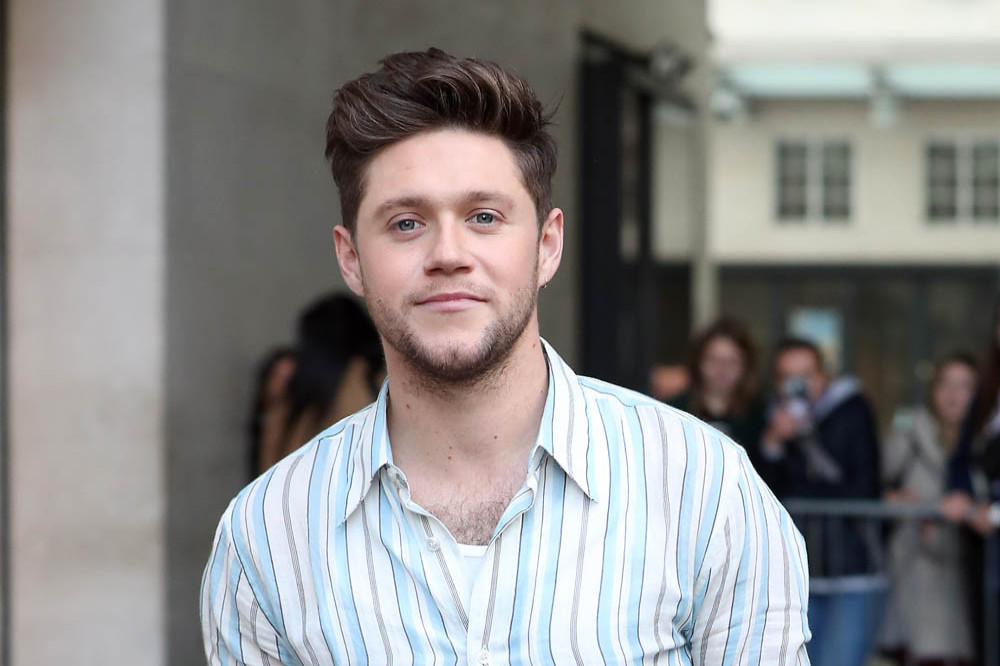 Niall Horan asked Louis Tomlinson for his feedback on 'The Show'