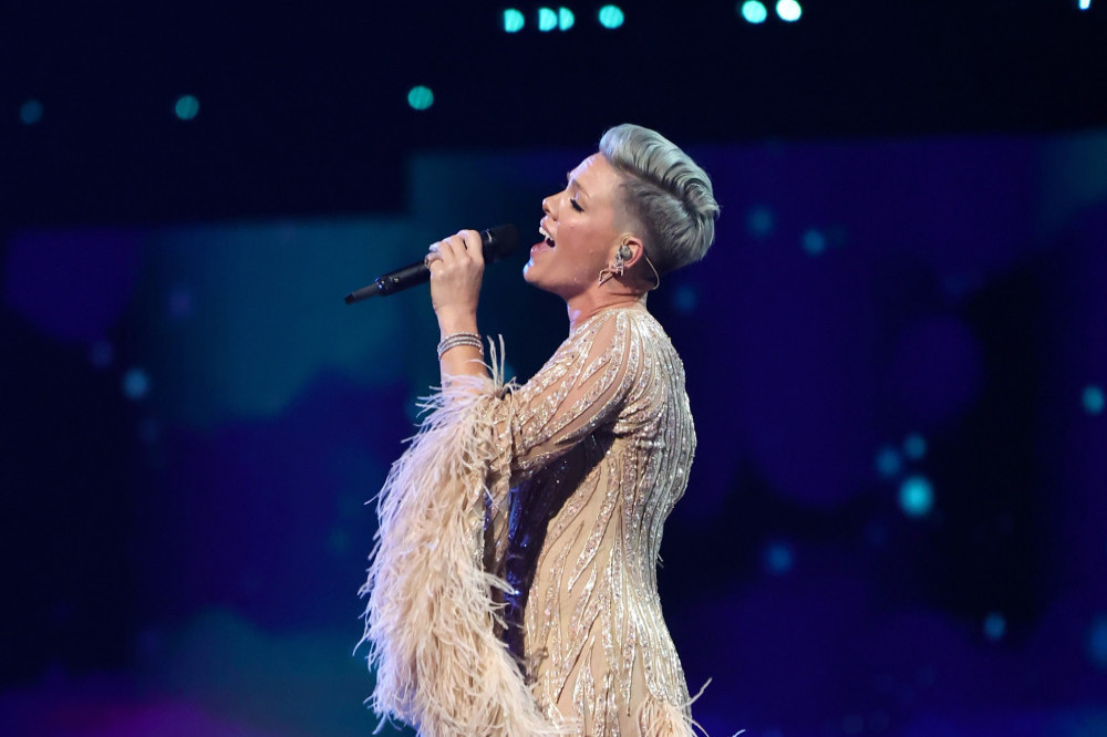 Pink is taking inspiration from Tina Turner
