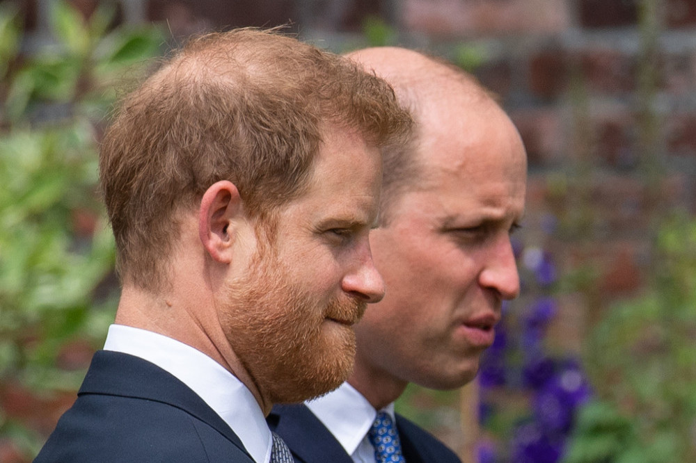 Prince William and Harry chatted with police officers after their mother's death