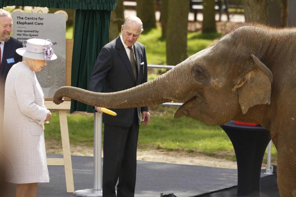 Queen Elizabeth and Prince Philip feed an elephant