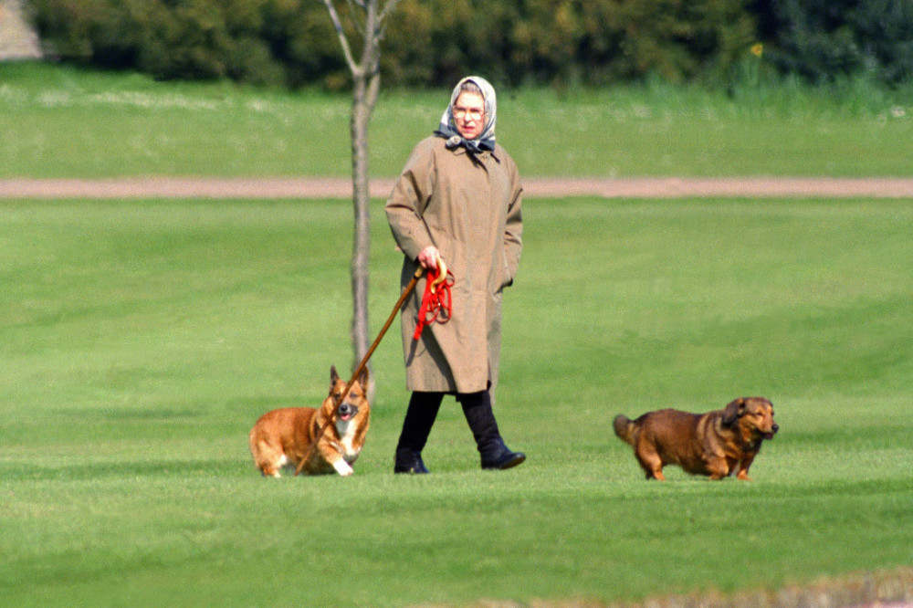Queen Elizabeth’s beloved surviving corgis are being inherited by the Duke of York and Sarah, Duchess of York