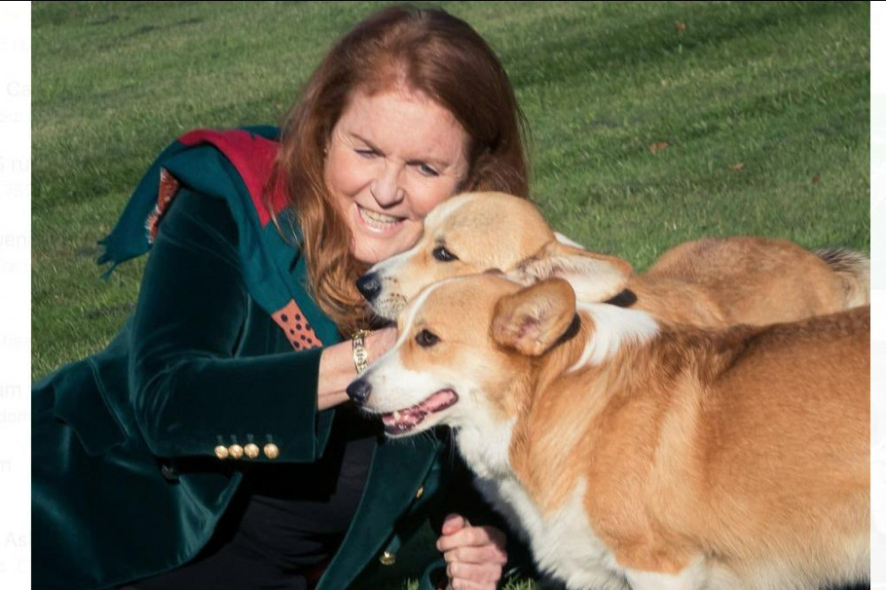 Sarah Duchess of York poses with Her Late Majesty's corgis