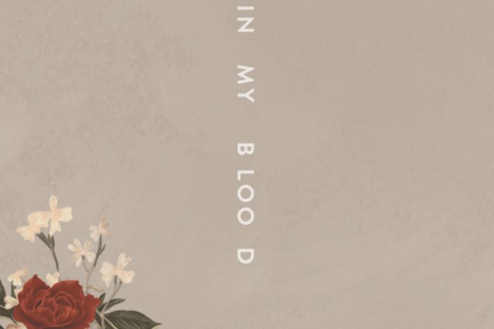 Shawn Mendes' In My Blood artwork