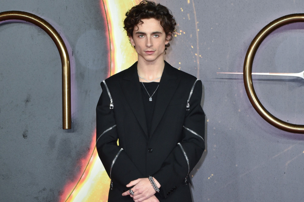 Timothee Chalamet will be singing in the Bob Dylan biopic
