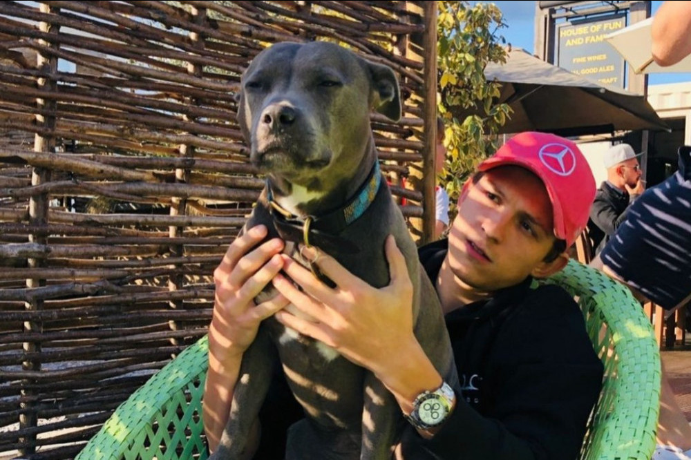 Tom Holland is mourning the loss of his beloved dog Tessa