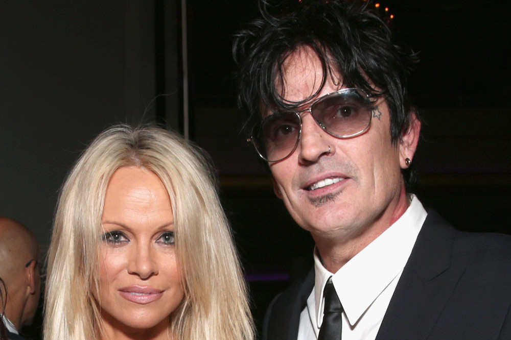 Pamela Anderson insisted she and Tommy Lee were just 'two crazily naked people in love'