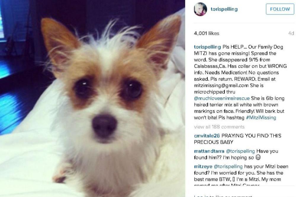Tori Spelling's missing dog, Mitzi (c) Instagram