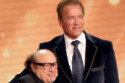 Danny DeVito and Arnold Schwarzenegger in talks for a 'little project'