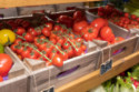 Tomatoes can feel stress, a new study has found
