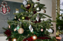 Viagra stops Christmas tree branches from drooping
