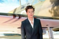 Harry Styles cried when he first watched Dunkirk