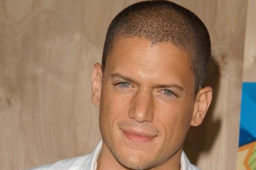 Wentworth Miller Is Not Gay 78