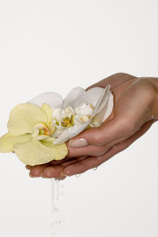 Touching flowers (stock image)
