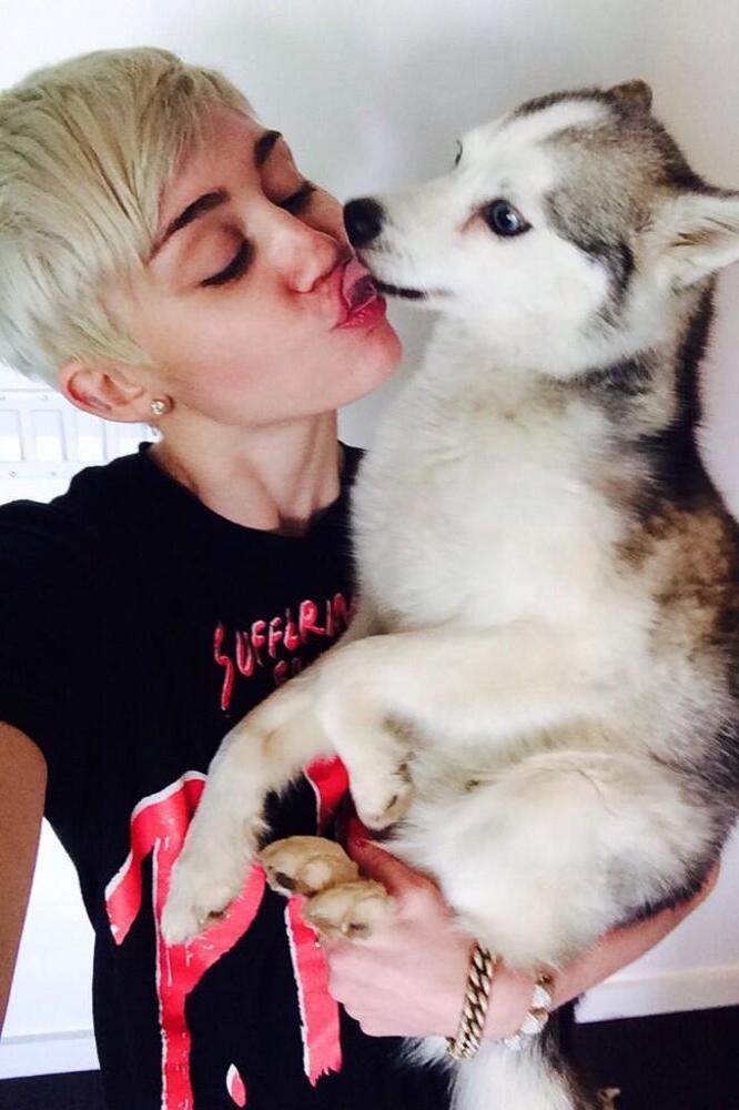 Miley Cyrus and late dog Floyd