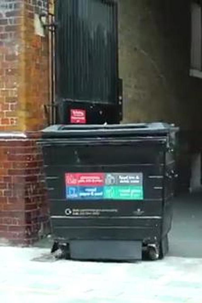 Man moves into recycling bin