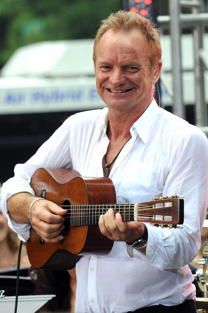 Sting musician
