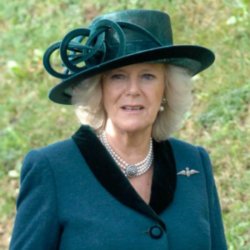 Camilla, Duchess of Cornwall is said to be a fan of bee venom products