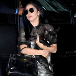 A man who allegedly shot Lady Gaga's dog walker is wanted by Marshals
