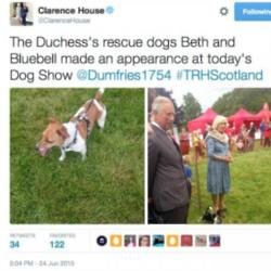 Bluebell and Camilla, Duchess of Cornwall