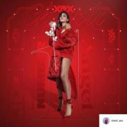 Charli XCX's mixtape artwork via Instagram